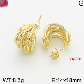 Fashion Copper Earrings  F5E200361vbnb-J40