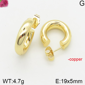 Fashion Copper Earrings  F5E200367vbnb-J40