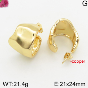 Fashion Copper Earrings  F5E200368bhva-J40