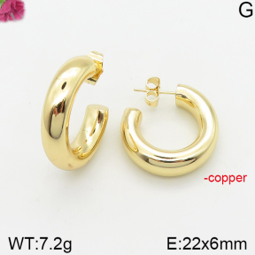 Fashion Copper Earrings  F5E200371bbov-J40