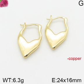 Fashion Copper Earrings  F5E200374vbnb-J40