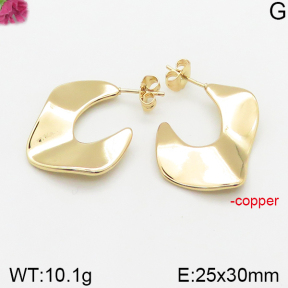 Fashion Copper Earrings  F5E200376vbnb-J40