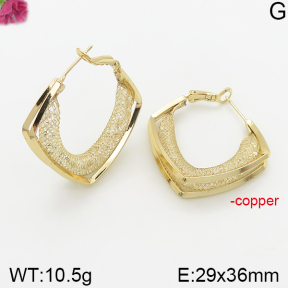 Fashion Copper Earrings  F5E200377bbov-J40