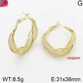 Fashion Copper Earrings  F5E200379bbov-J40