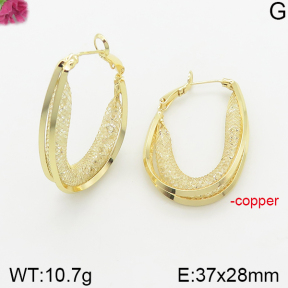 Fashion Copper Earrings  F5E200380bbov-J40