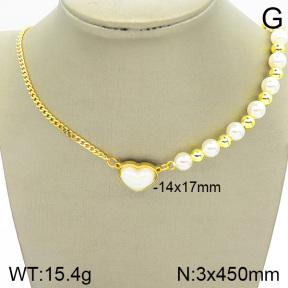 Stainless Steel Necklace  2N3001127abol-388