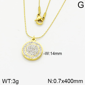 Stainless Steel Necklace  2N4001844bbml-355