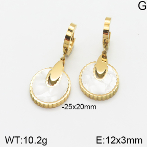 Stainless Steel Earrings  5E3001041bbml-464