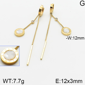 Stainless Steel Earrings  5E3001042vbnl-464