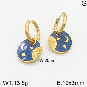 Stainless Steel Earrings  5E3001045bbml-464
