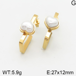 Stainless Steel Earrings  5E3001046vbmb-464