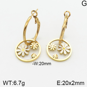 Stainless Steel Earrings  5E3001047vbnb-464