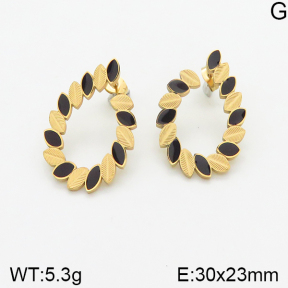 Stainless Steel Earrings  5E3001048vbnb-464