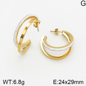 Stainless Steel Earrings  5E4002184vbnl-464