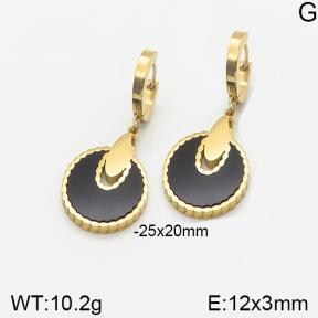 Stainless Steel Earrings  5E4002187bbml-464