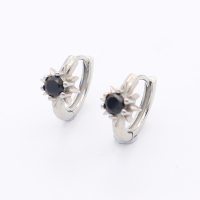 Stainless Steel Earrings  Zircon,Handmade Polished  WT:3.2g  W:9mm E:15mm  GEE001108bhia-700