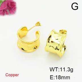 Fashion Copper Earrings  F6E200305vbmb-L017