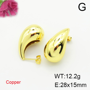 Fashion Copper Earrings  F6E200306vbmb-L017