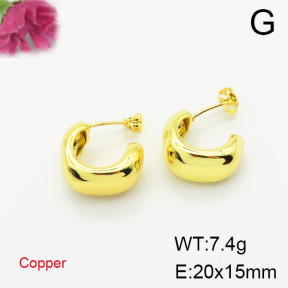 Fashion Copper Earrings  F6E200308vbmb-L017
