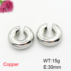 Fashion Copper Earrings  F6E200320bhva-L017