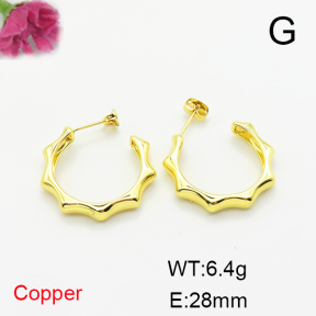 Fashion Copper Earrings  F6E200324vbmb-L017