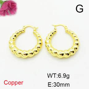 Fashion Copper Earrings  F6E200331bbov-L017