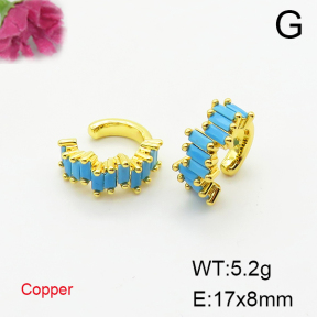 Fashion Copper Earrings  F6E404660bbov-L017