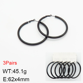Stainless Steel Earrings  2E2002078ajma-256