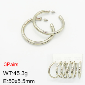 Stainless Steel Earrings  2E2002081bjja-256