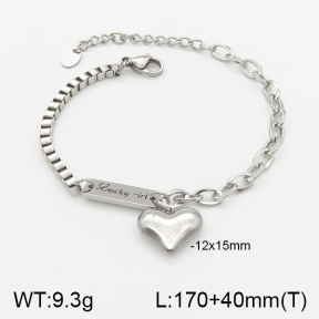 Stainless Steel Bracelet  5B2001751vbpb-201