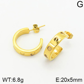 SS Earrings  TE2000268bhva-317
