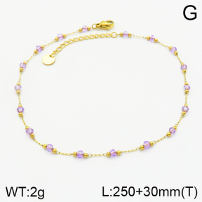 Stainless Steel Anklets  2A9000933bbml-351