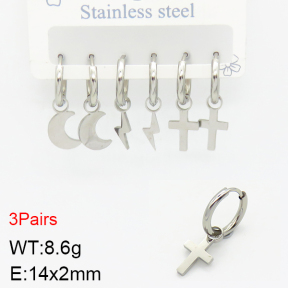 Stainless Steel Earrings  2E2002194bhva-351