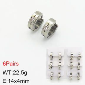 Stainless Steel Earrings  2E4002232aivb-658