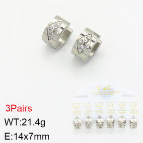 Stainless Steel Earrings  2E4002234aivb-658