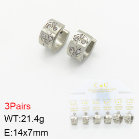 Stainless Steel Earrings  2E4002235aivb-658