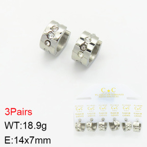 Stainless Steel Earrings  2E4002236aivb-658