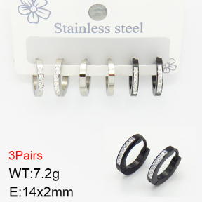 Stainless Steel Earrings  2E4002245vbpb-351
