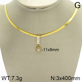 Stainless Steel Necklace  2N4001861abol-395