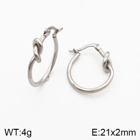 Stainless Steel Earrings  5E2002400vbmb-259