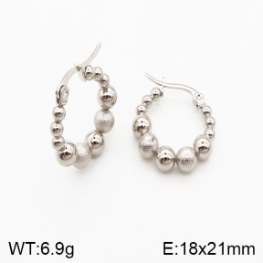 Stainless Steel Earrings  5E2002404ablb-259