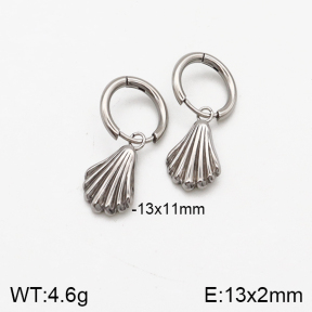 Stainless Steel Earrings  5E2002408vbmb-259
