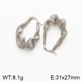 Stainless Steel Earrings  5E2002410vbmb-259