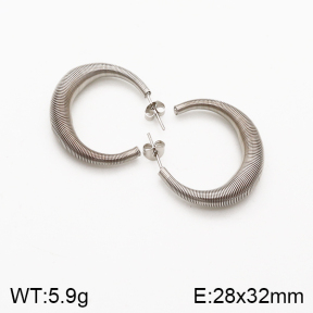 Stainless Steel Earrings  5E2002412vbmb-259