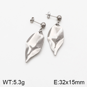 Stainless Steel Earrings  5E2002420vbmb-259