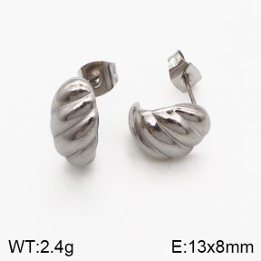 Stainless Steel Earrings  5E2002422ablb-259