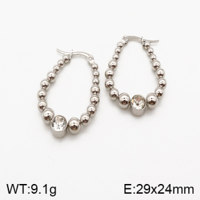 Stainless Steel Earrings  5E4002191vbmb-259