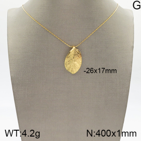 Stainless Steel Necklace  5N2001714bbov-434
