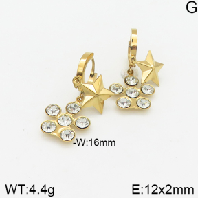 Stainless Steel Earrings  5E4002309vbmb-418