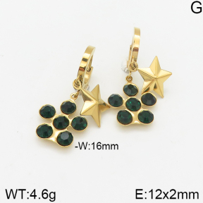 Stainless Steel Earrings  5E4002311vbmb-418